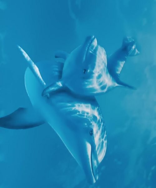 piscina de vinil, piscina de vinil 10x5 preço, piscina de vinil preço instalada